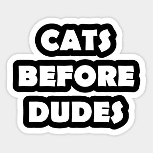 CAT DEFORE DUDES Sticker